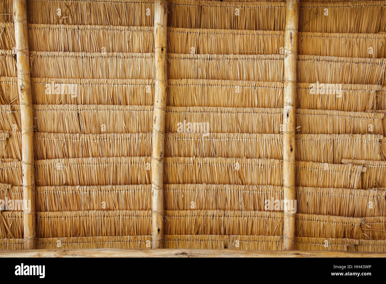 Erba sullo sfondo del tetto Foto Stock