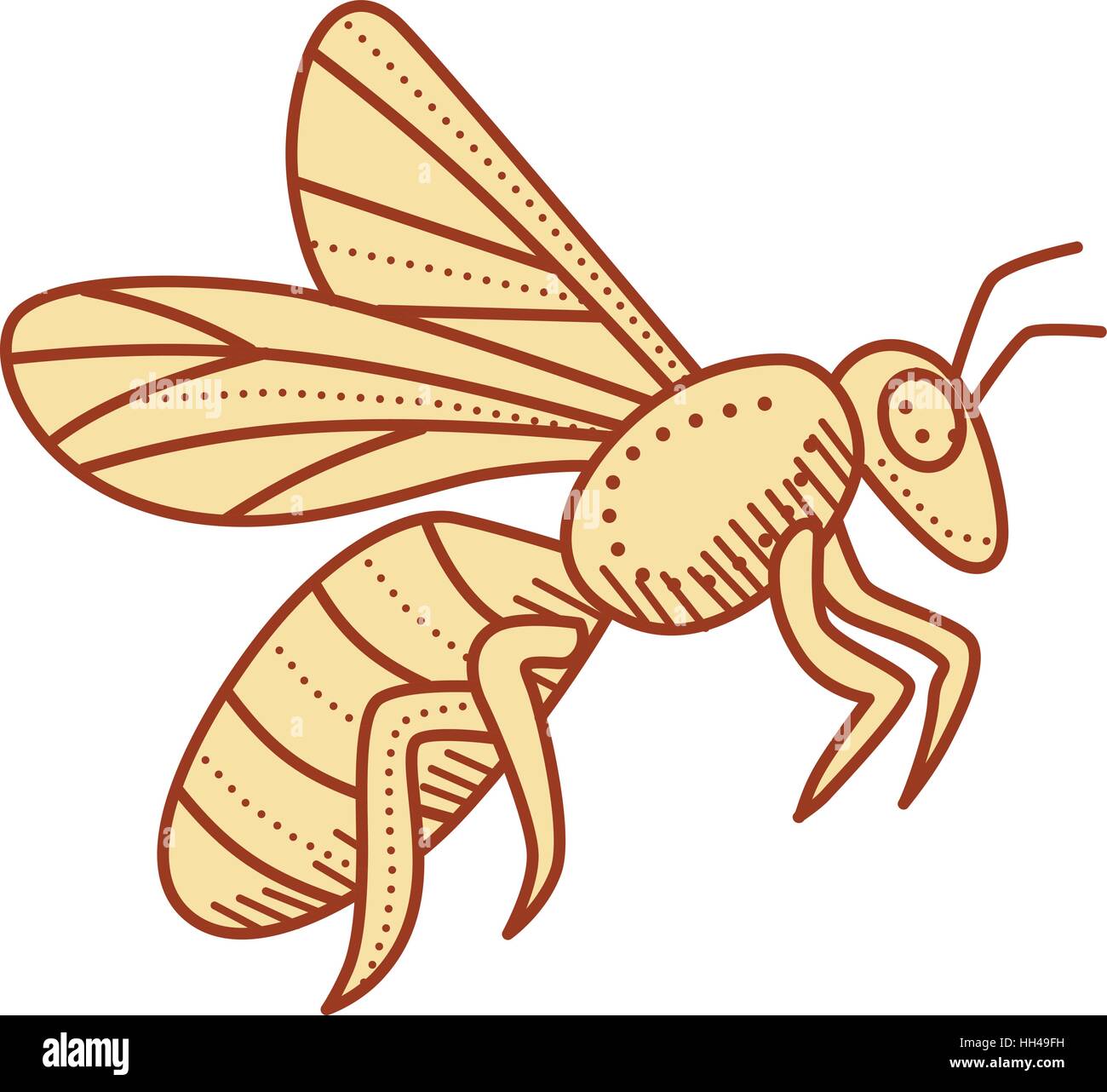 Mono stile linea illustrazione di un lavoratore honey bee battenti visto dal lato impostato su isolato sullo sfondo bianco. Illustrazione Vettoriale