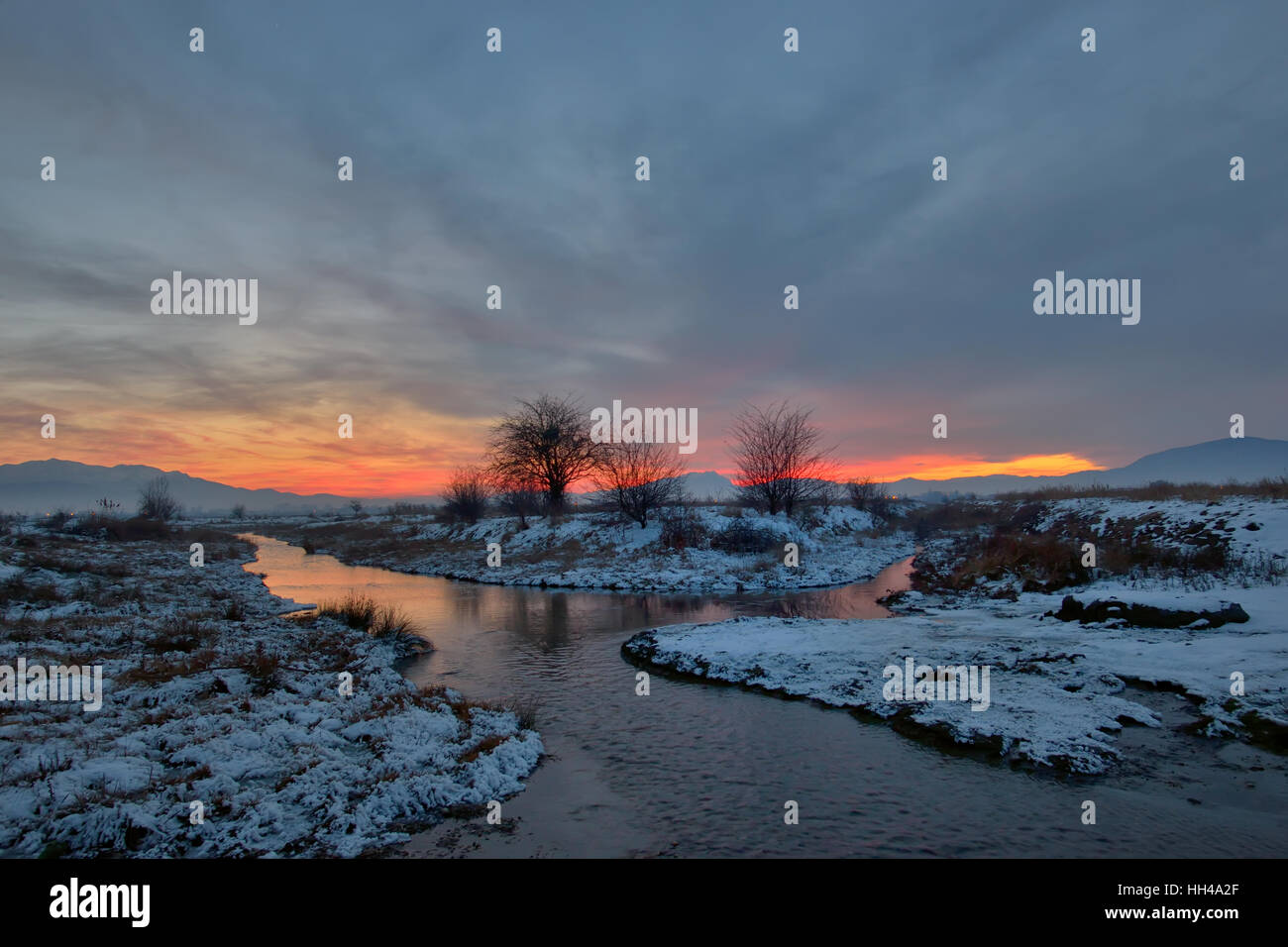 Tramonto con ombra di albero e neve Foto Stock