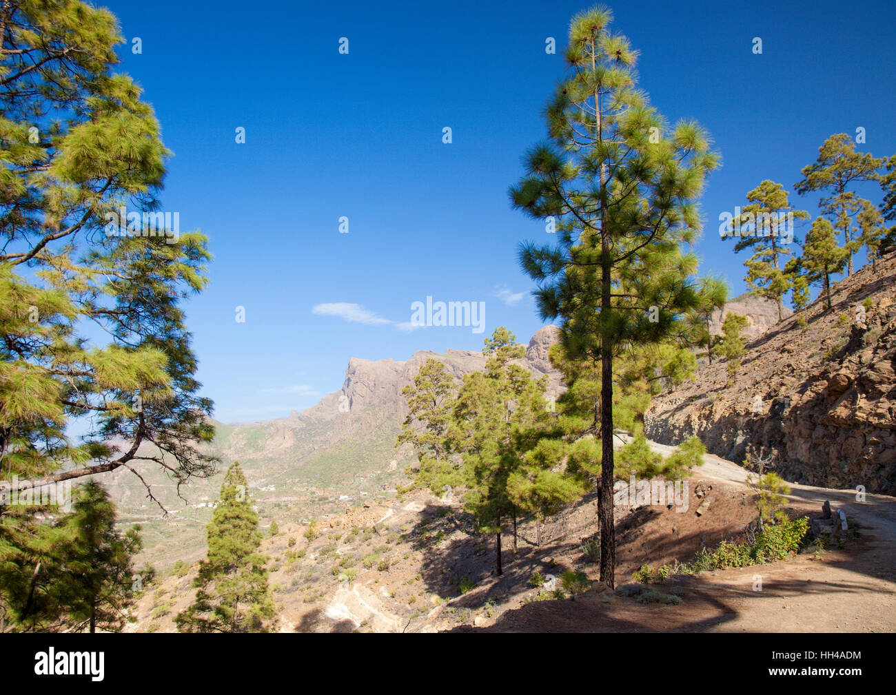 Centrale di Gran Canaria, area intorno a Cruz Grande Foto Stock