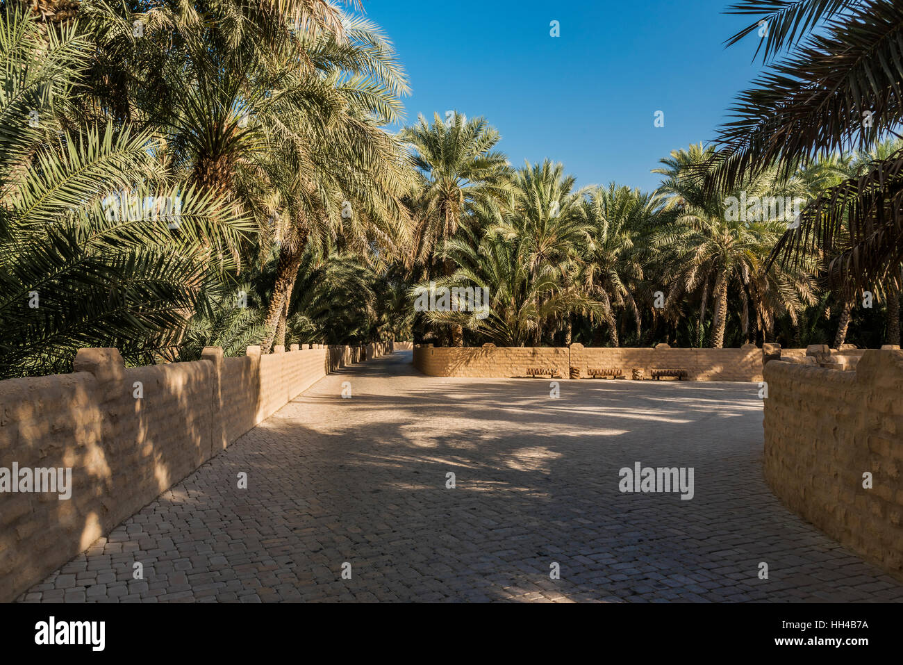 Al Ain Oasis, Al Ain, Emirati Arabi Uniti Foto Stock