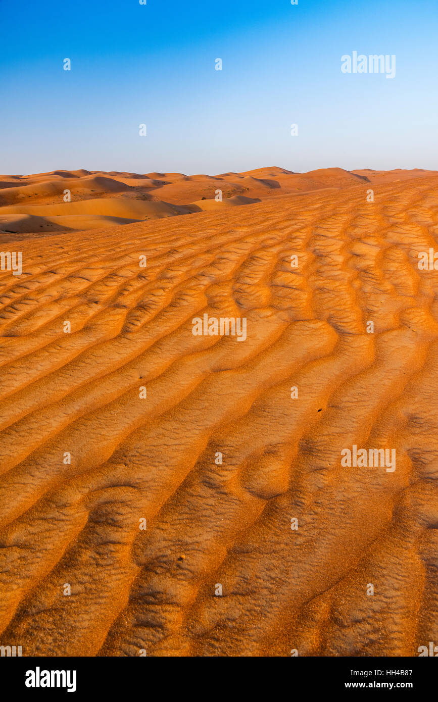Vista al tramonto del le dune di sabbia del Rub' al Khali desert, Al Ain, Emirati Arabi Uniti Foto Stock