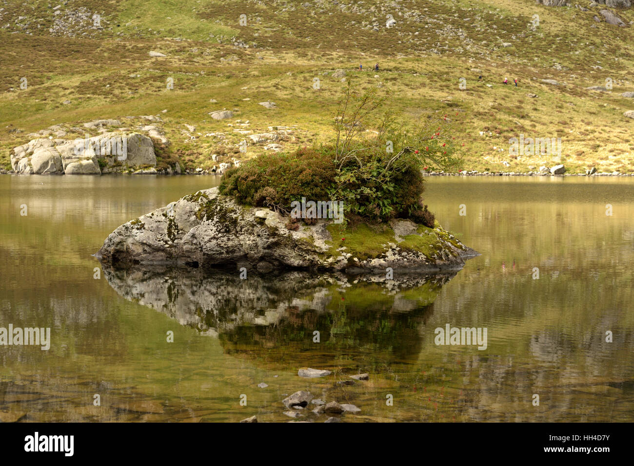 Llyn Idwal isolotto roccioso Foto Stock