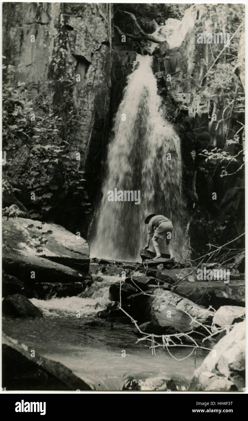 Zimbabwe - Cascate di Nyachowa, Vumba Foto Stock