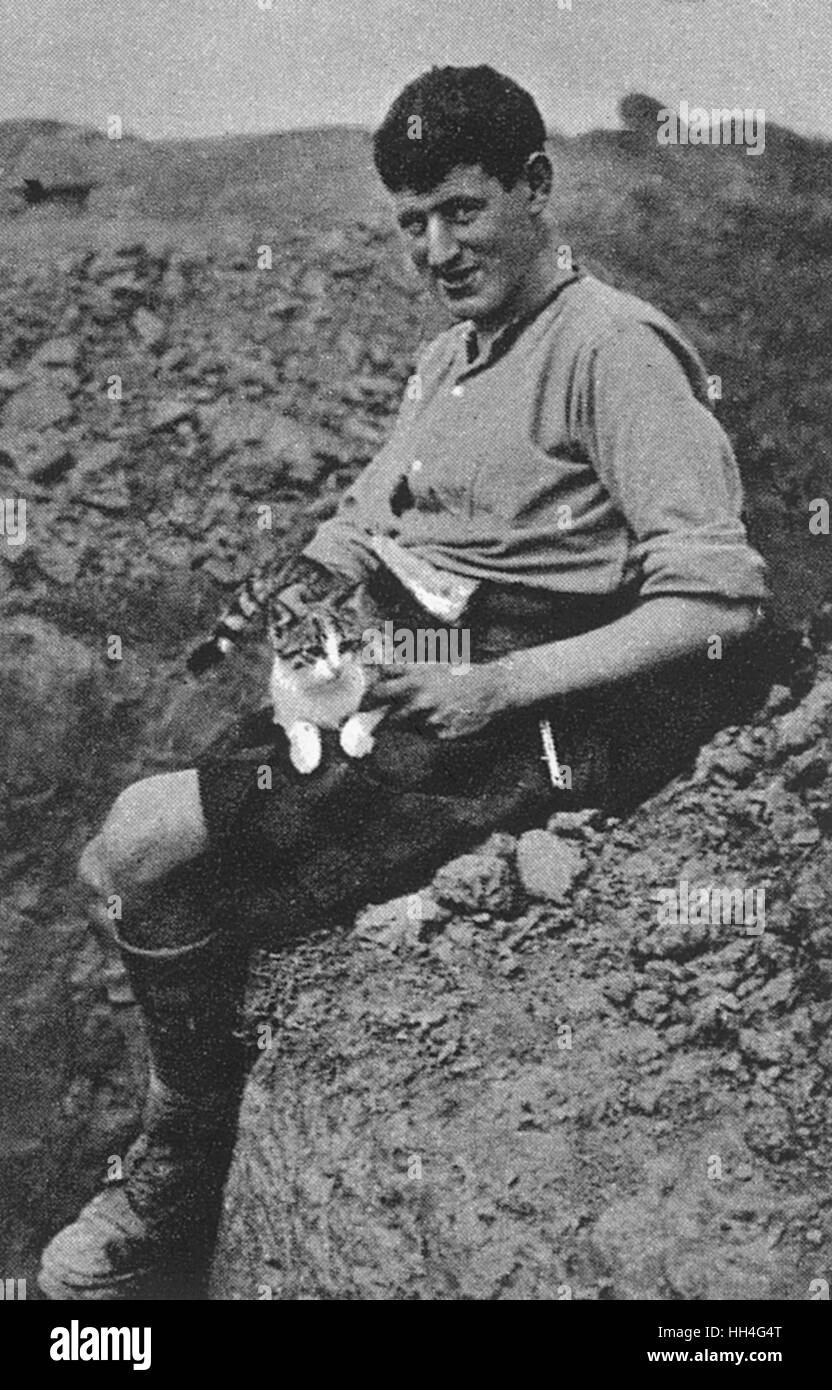 WW1 mascotte: Un gatto di trincea Foto Stock