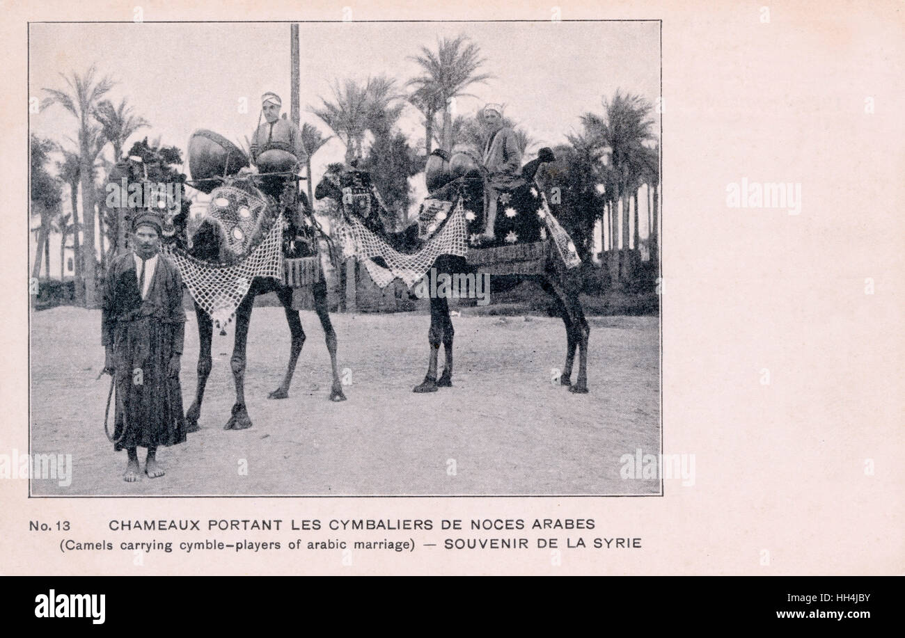 Matrimonio Arabo - batteristi montati su cammelli - Siria Foto Stock