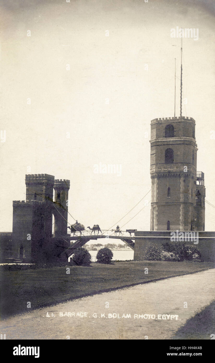 Cammelli che attraversano Delta Barrage sul Nilo, Egitto Foto Stock