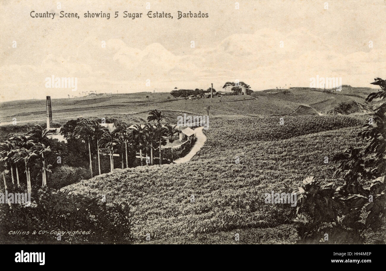 Paese di scena con cinque poderi di zucchero, Barbados, West Indies. Foto Stock