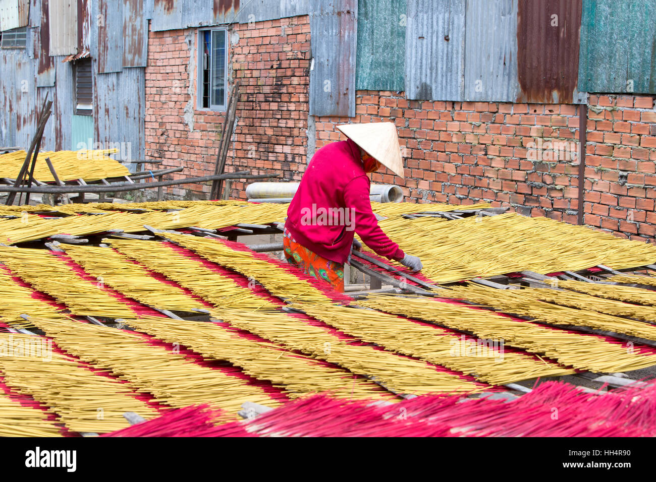 Lavoratore di distribuire i bastoncini di incenso di essiccazione. Foto Stock