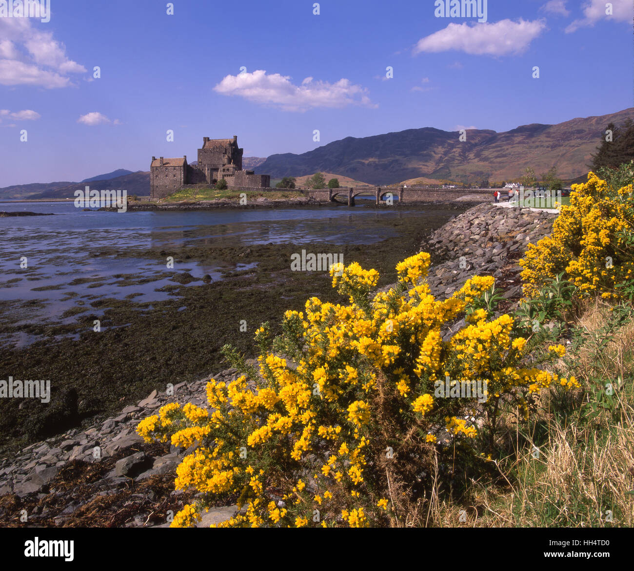 Vista la molla di Eilean Donan Castle e Loch Duich, NW Highlands Foto Stock