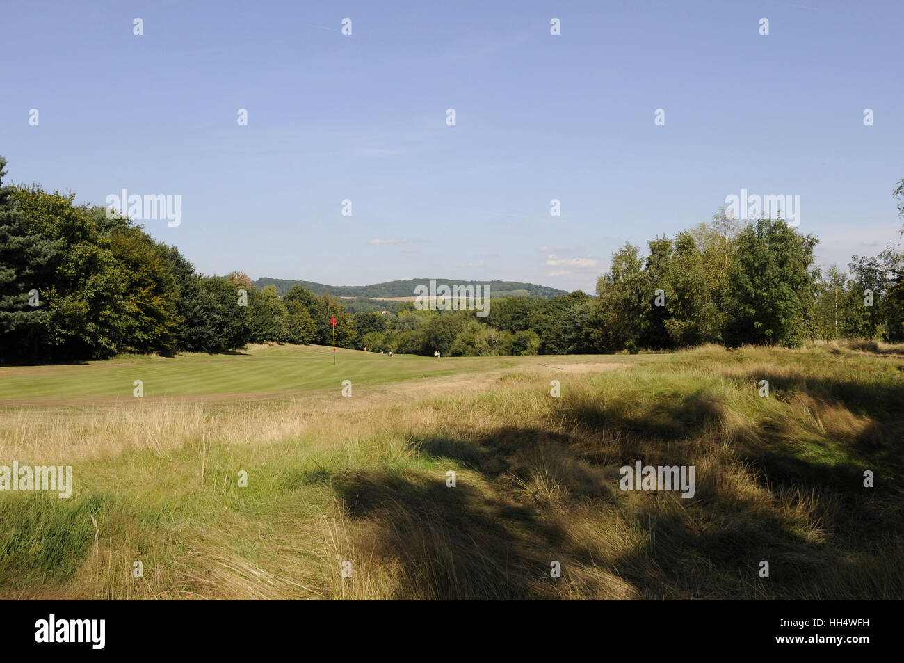 Vista del xv verde su Festuca erba con Surrey Hills in background, Bletchingley Golf Club Surrey in Inghilterra Foto Stock