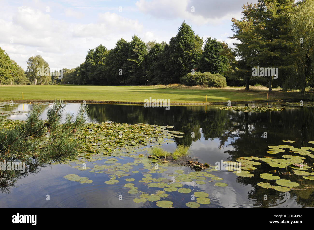 Vista sul laghetto sul foro xvi indietro lungo il fairway, Camberley Heath Golf Club Surrey in Inghilterra Foto Stock
