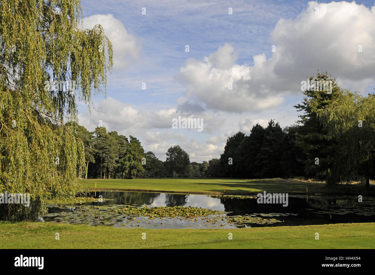 Vista sul laghetto sul foro xvi indietro lungo il fairway, Camberley Heath Golf Club Surrey in Inghilterra Foto Stock