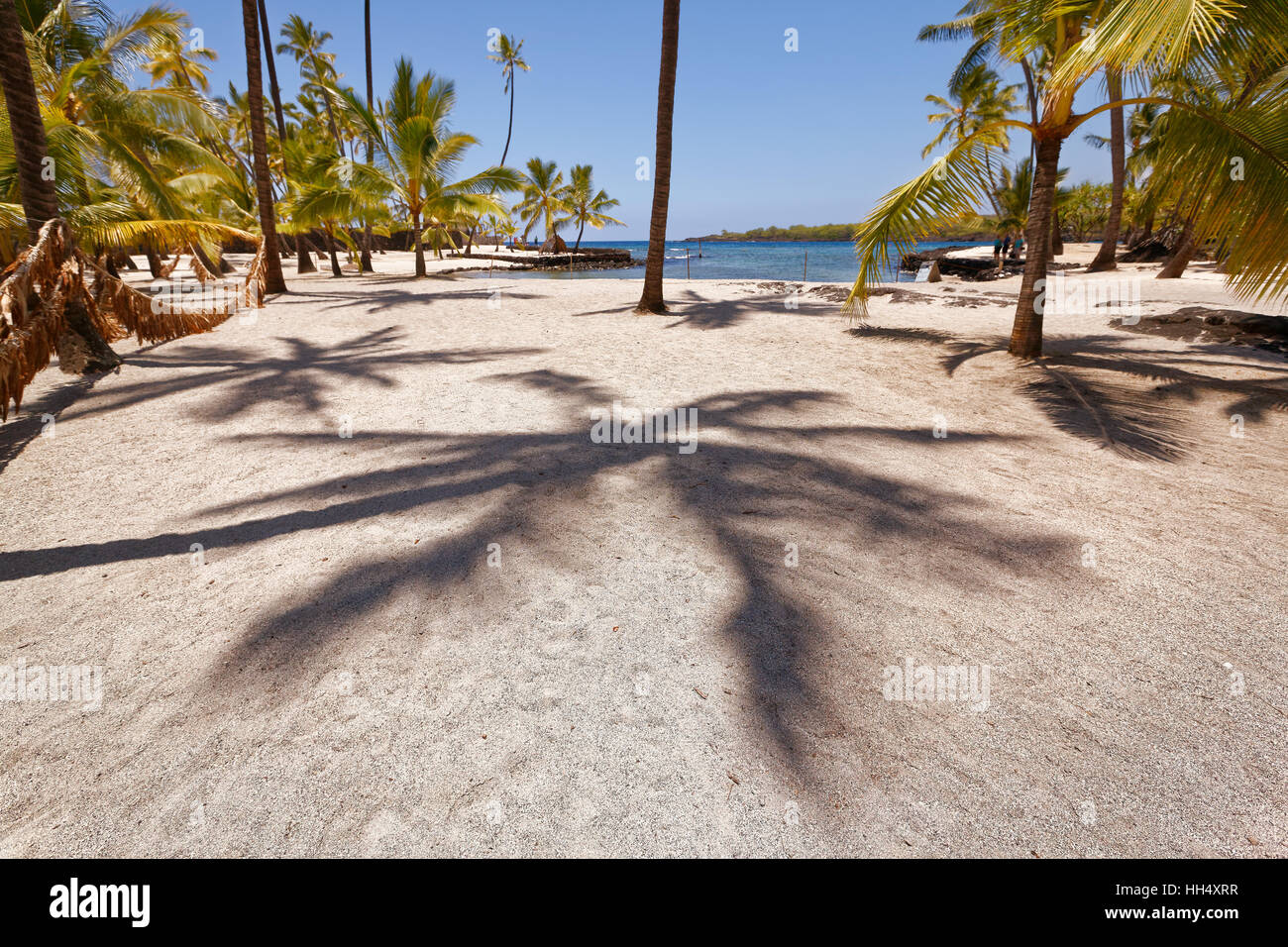Ombra di palme sulla spiaggia di sabbia in Hawaii Foto Stock