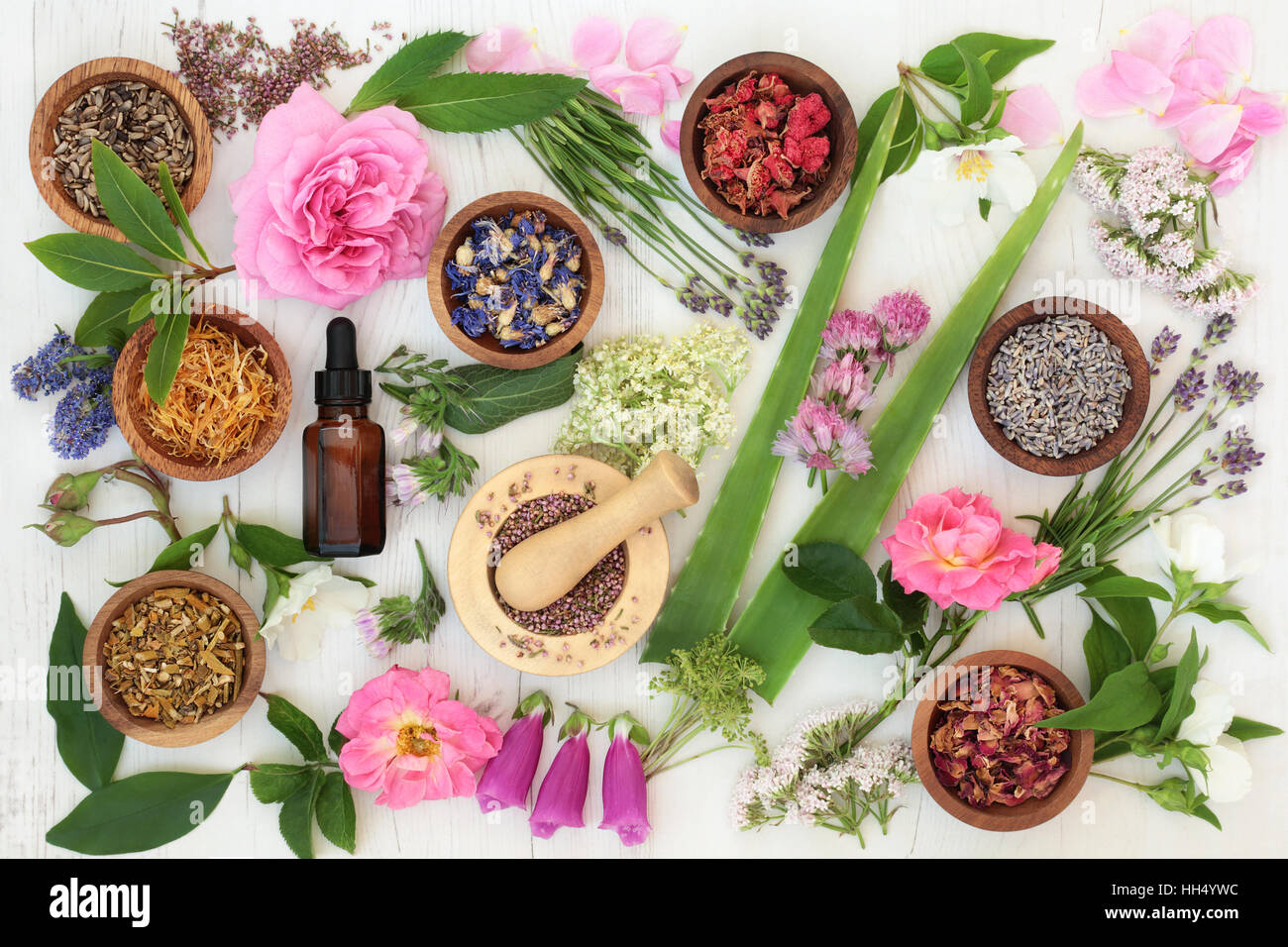 Fiore di guarigione e la selezione di erbe utilizzate in alternativa naturale la medicina in distressed bianco sullo sfondo di legno. Foto Stock