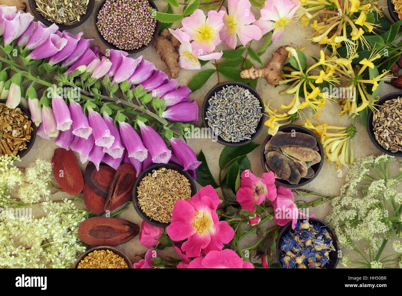 Erbe medicinali e selezione di fiori utilizzati in alternativa naturale a base di erbe sulla canapa sfondo della carta. Foto Stock