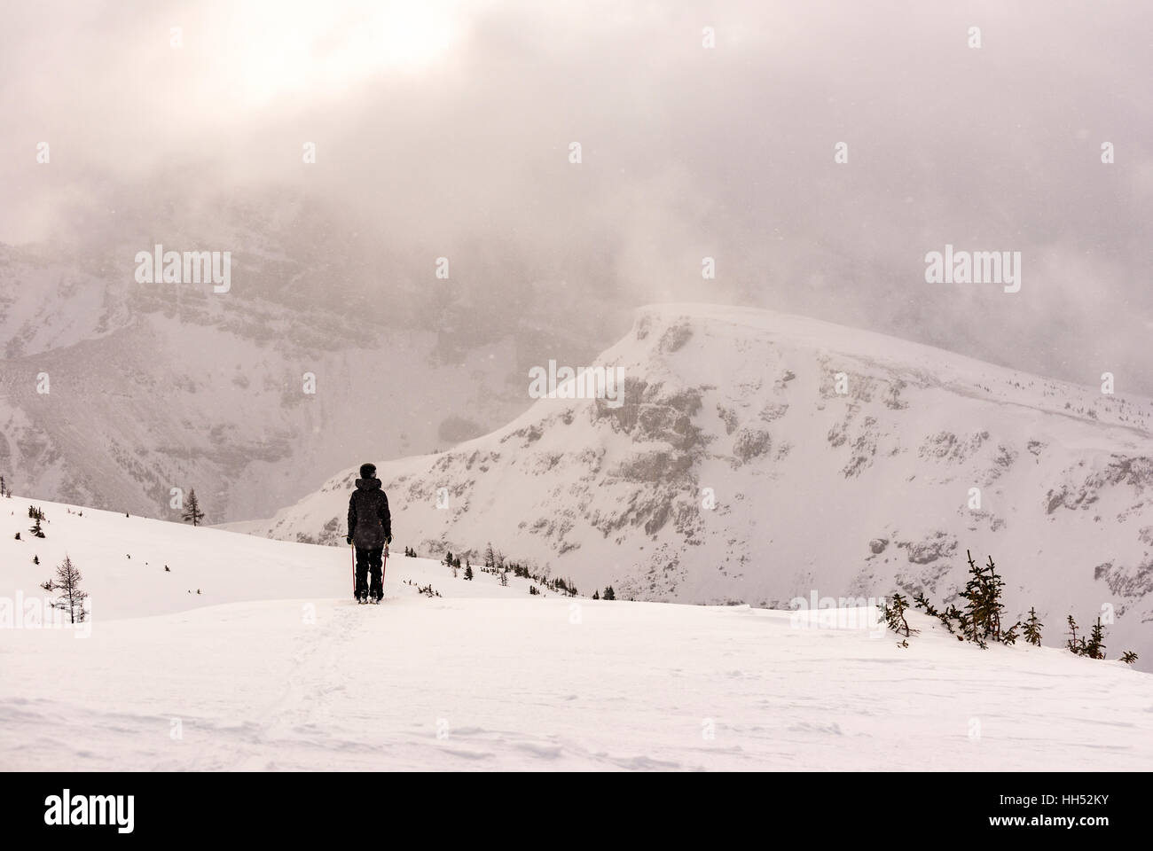 Sciatore femmina in montagna a sciare in polvere Foto Stock