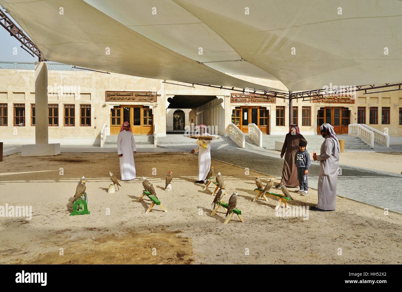 Situato nel centro di Doha, il Falcon Souq è un mercato di vendita di vivere falcon uccelli e attrezzature di falconeria Foto Stock