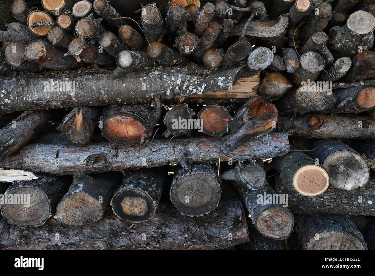 Tagliare dei registri accatastati, sminuzzati logs, legna, un trito di legno. Foto Stock