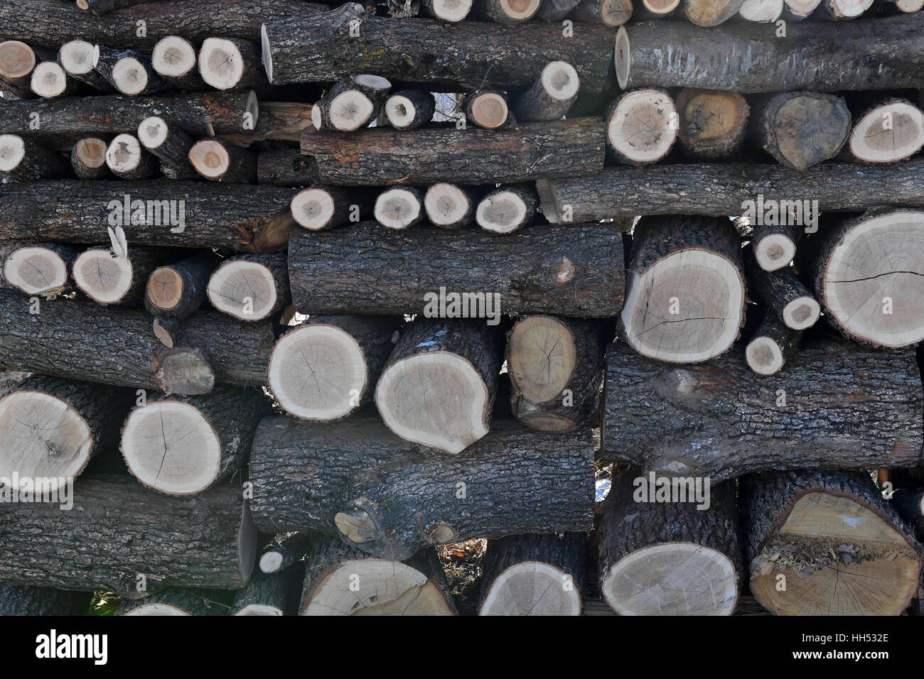 Tagliare dei registri accatastati, sminuzzati logs, legna, un trito di legno. Foto Stock