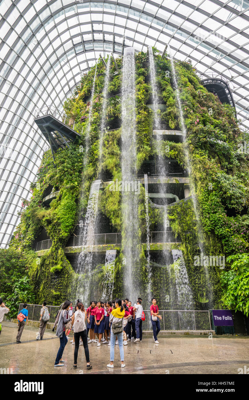 Singapore, giardini dalla baia, vegetazione rigogliosa montagna con cascata entro il gigante Cloud Forest Green House Foto Stock
