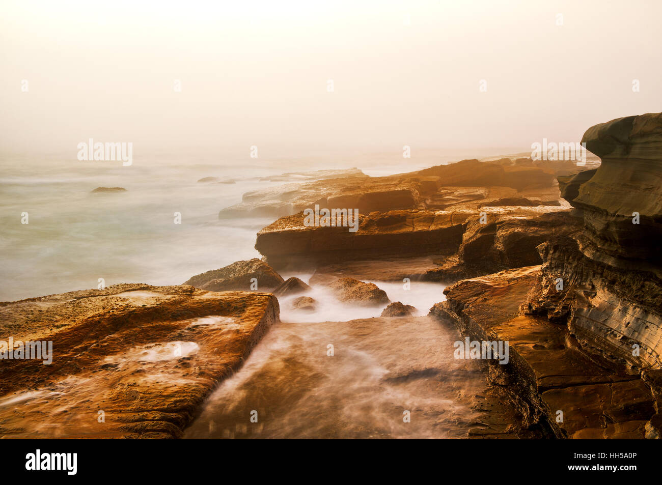 Early Morning mist oltre oceano presso la costa centrale. Foto Stock