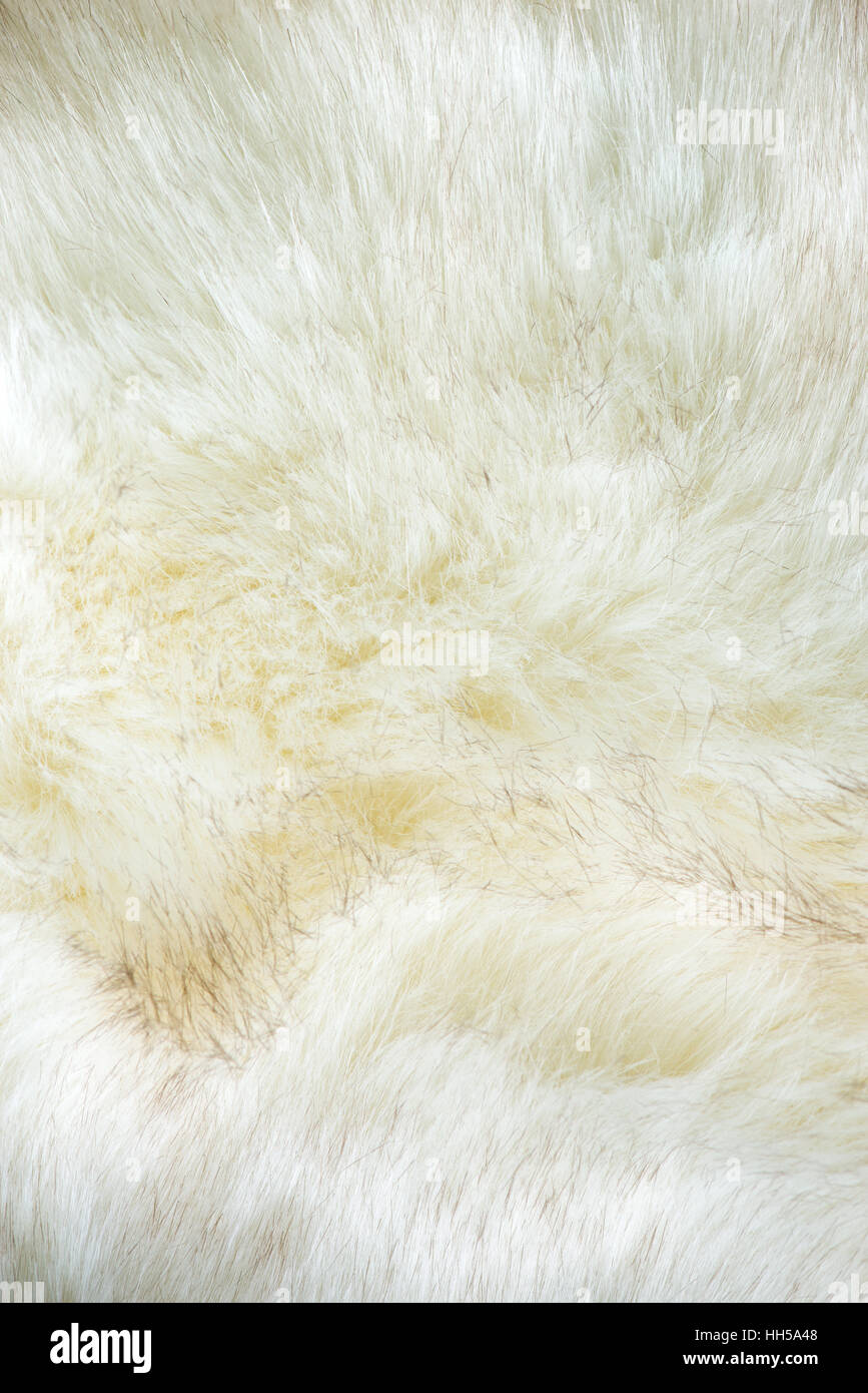 White pellicce artificiali texture Foto Stock