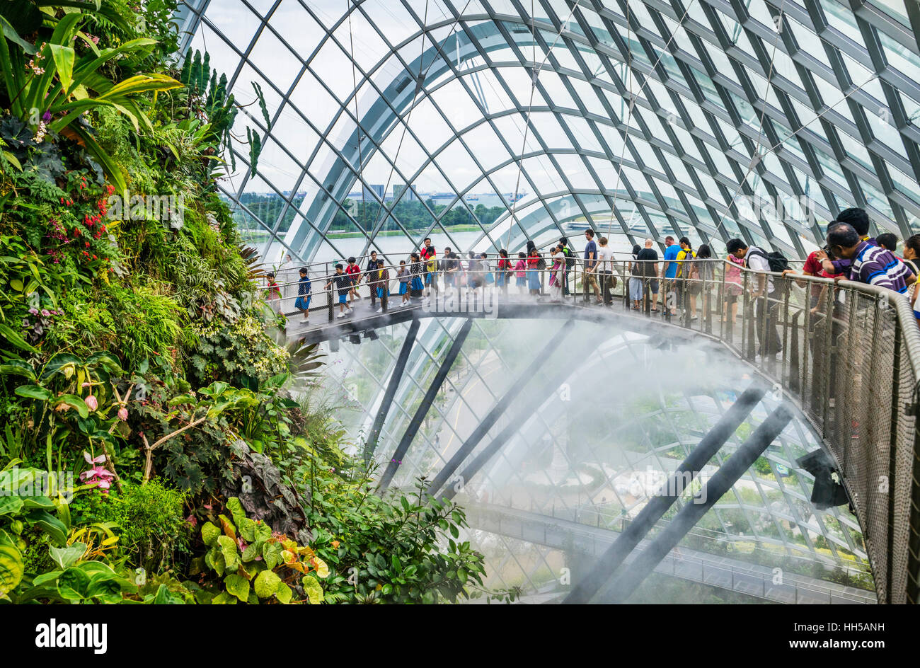 Singapore, giardini dalla baia, Cloud a piedi sulla parte superiore della vegetazione rigogliosa montagna entro il gigante Cloud Forest Green House Foto Stock