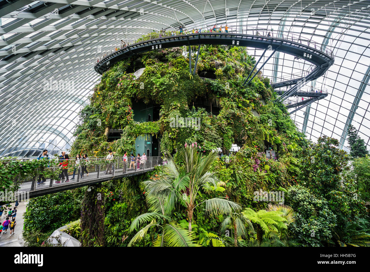 Singapore, giardini dalla baia, vista del Treetop e Cloud cammina alla vegetazione lussureggiante mountain entro il gigante Cloud Forest Green House Foto Stock