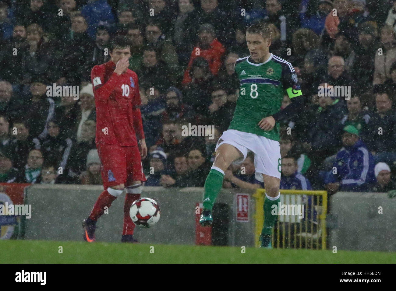 Belfast, Irlanda del Nord. 11 novembre 2016. La Coppa del Mondo di Calcio - Irlanda del Nord 4 Azerbaigian 0. In Irlanda del Nord la Steven Davis (8). Foto Stock