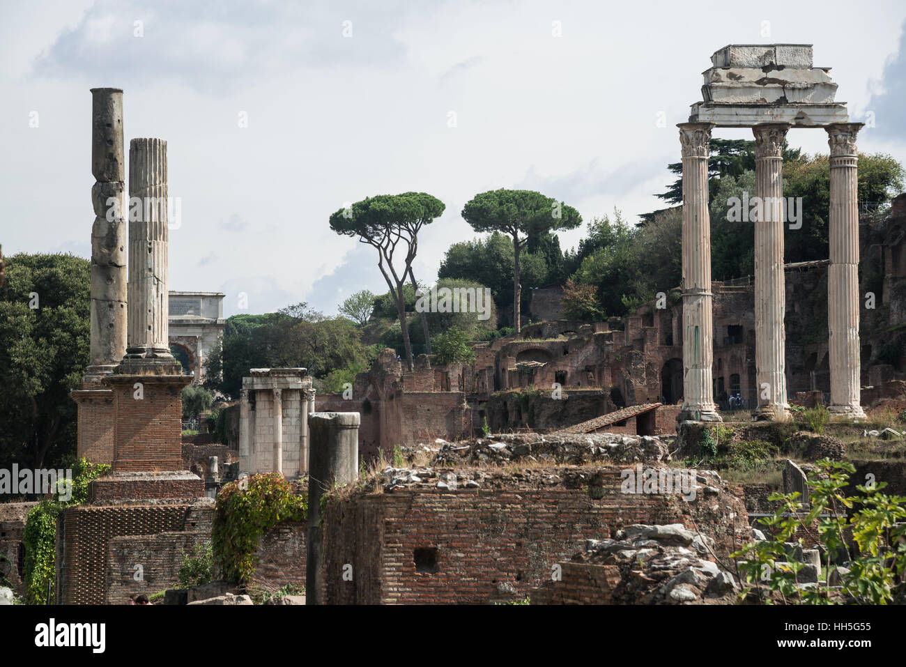 Il Foro Romano paesaggio con rovine e italiano di alberi di pino,, Roma, Italia, Europa Foto Stock