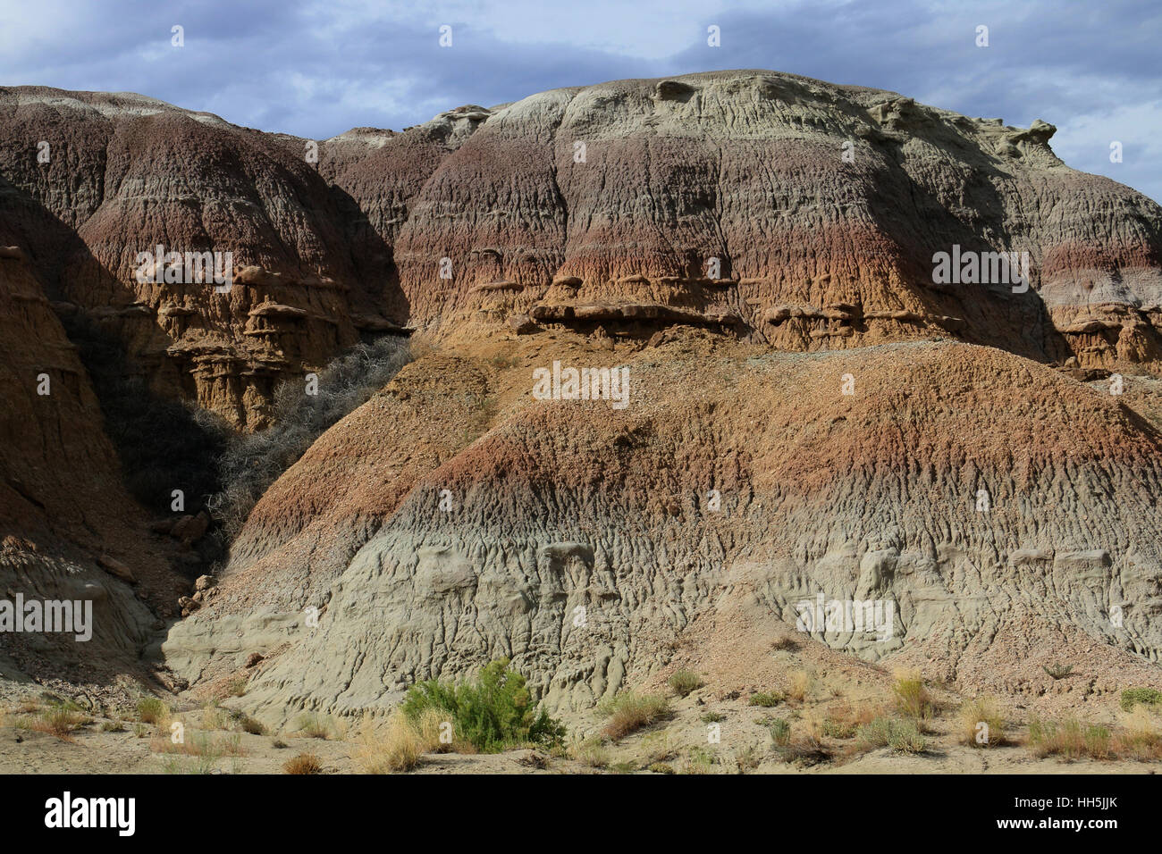 Erosione di arenaria bacino grande deserto dello Utah Foto Stock