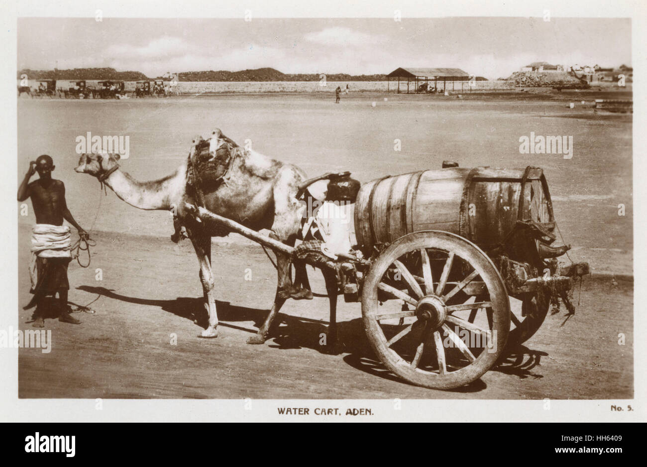 Carretto ad acqua disegnato da cammello, Aden Foto Stock