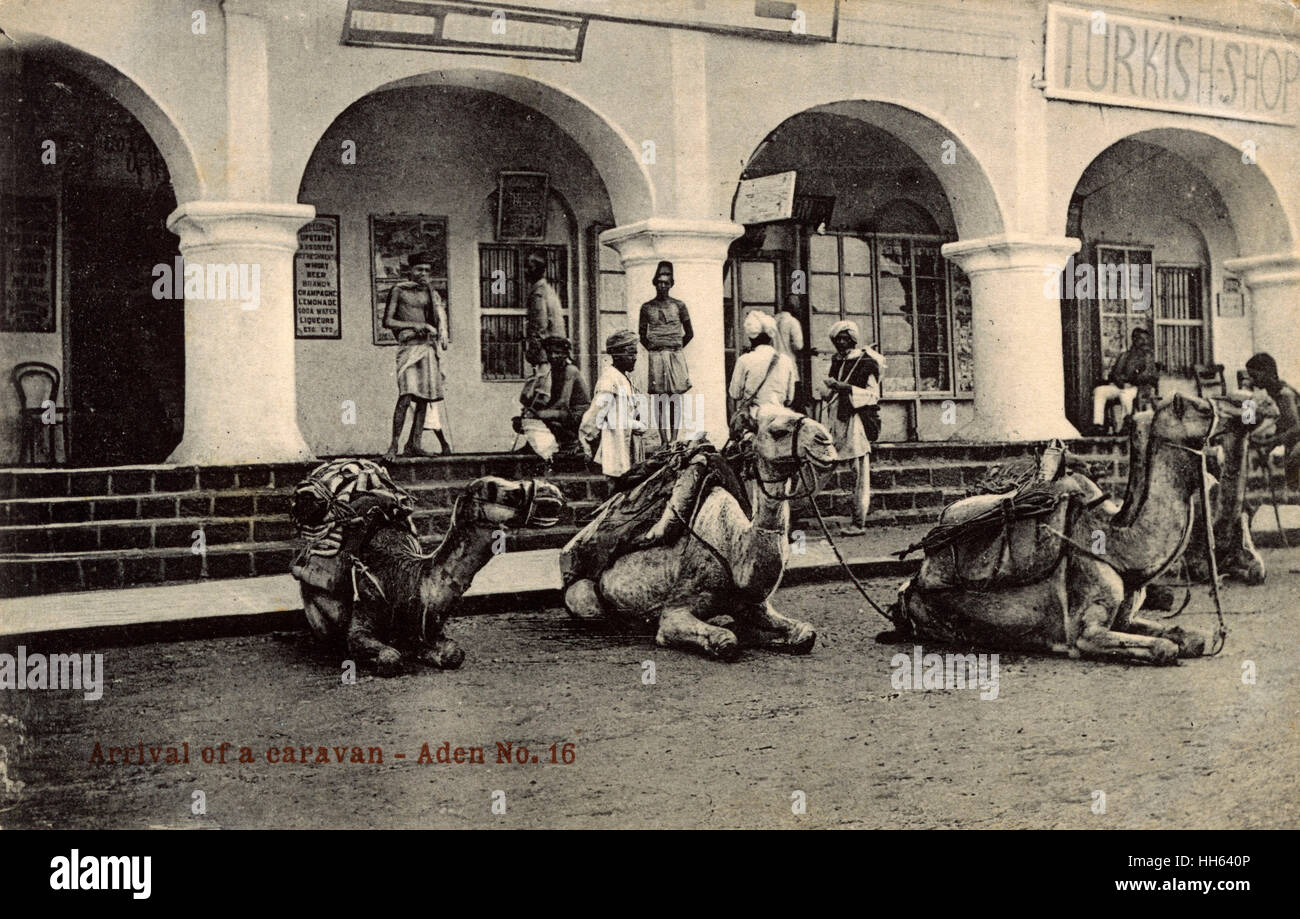 Camel caravan fuori dall'Hotel de l'Europe, Aden Foto Stock