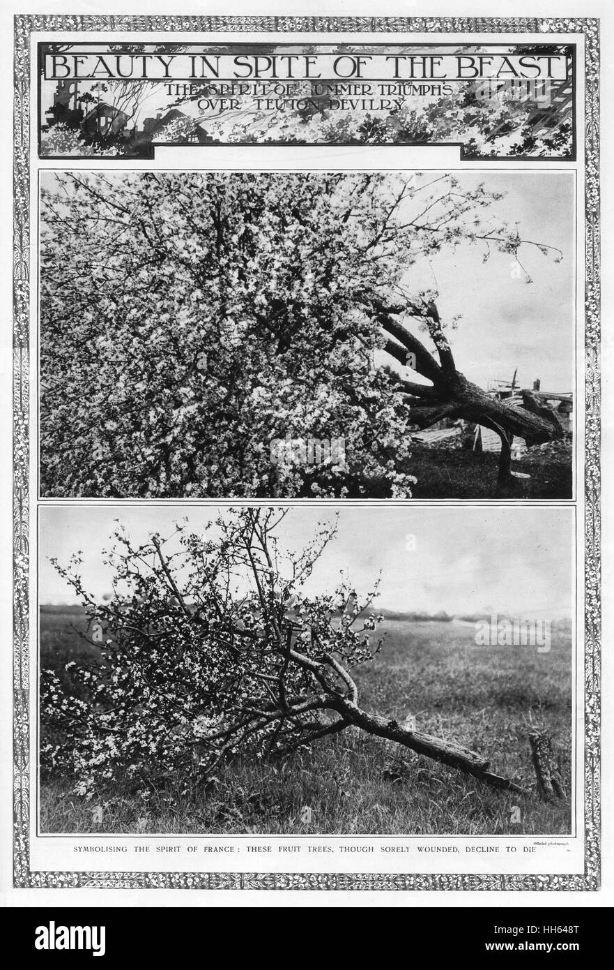 Bellezza a dispetto della bestia: Alberi da frutto in fiore, 1917 Foto Stock