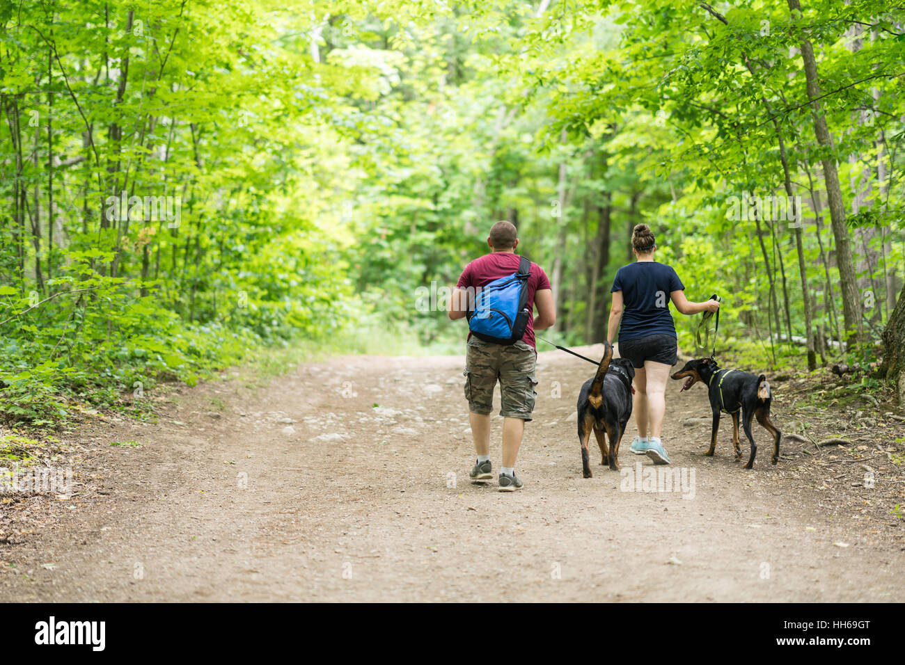 Paio di persone escursionismo insieme nel bosco verso il basso un percorso sterrato su una bella giornata d'estate. Baldacchino verde di alberi al di sopra di essi. Vista dal retro del PERS Foto Stock