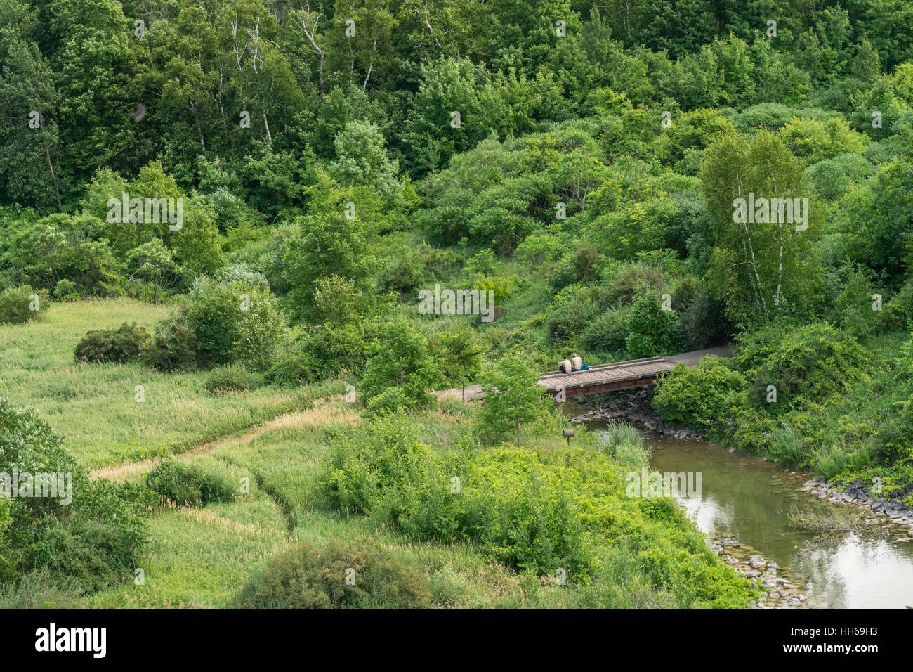 Paio di persone sedute insieme su una collina boscosa ponte su un fiume su una bella giornata d'estate. Verde, tutti intorno a loro. Vista dal retro del popolo - Foto Stock