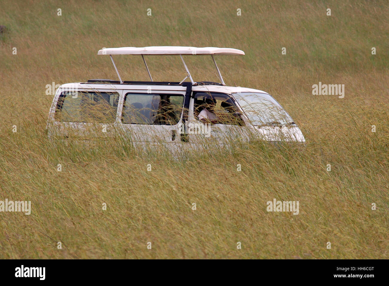 Bianco van safari con pop-up in attesa del tetto in un campo di alta erba gialla Foto Stock