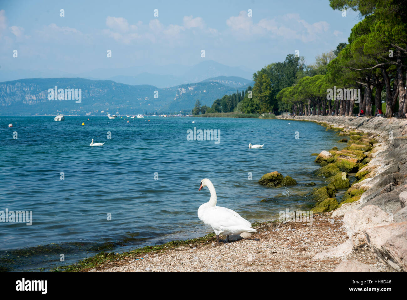 Lago di Garda Foto Stock