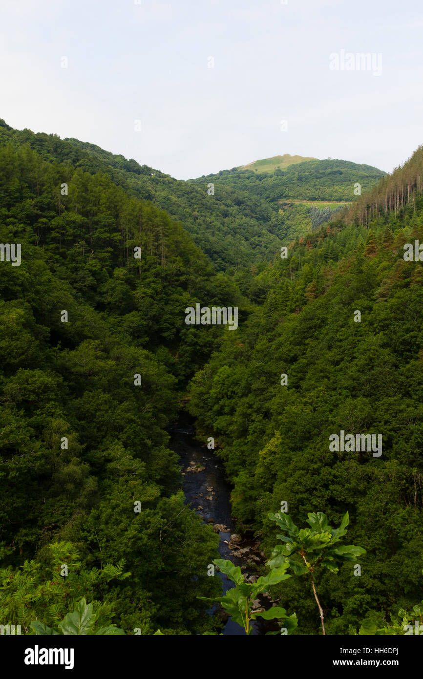 CEREDIGION, Galles vista di Afon Rheidol fiume, vicino al Ponte del Diavolo. Foto Stock