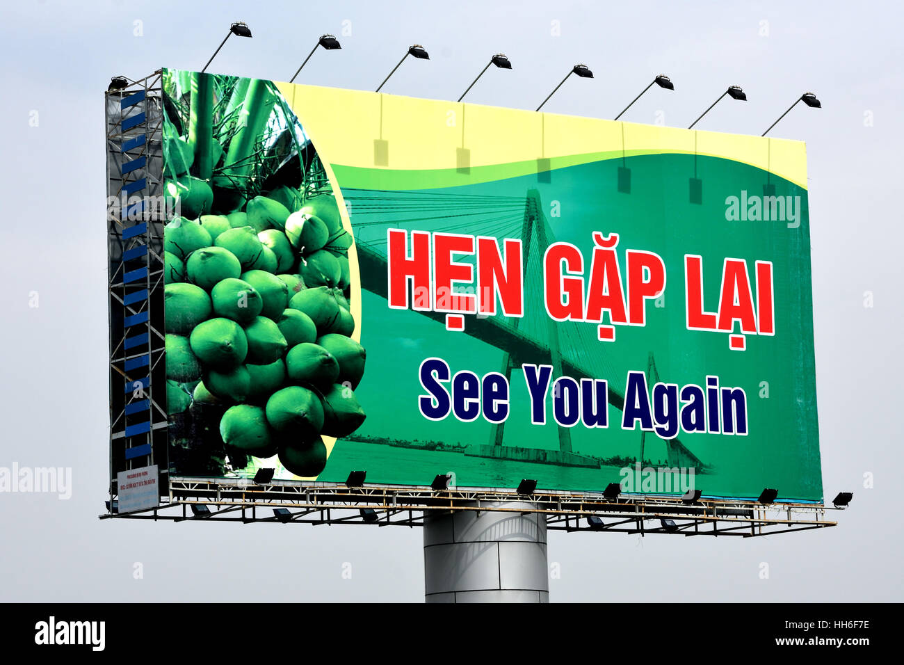 Hẹn gặp lại Billboard Vietnam orto e il campo Delta del Mekong Foto Stock