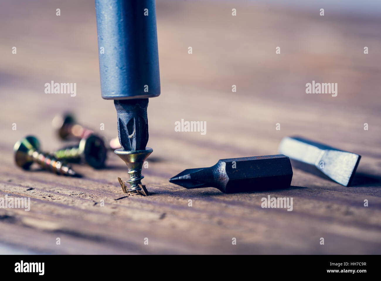 Qualcuno sta avvitando una vite in superficie in legno con il cacciavite. Concetto di DIY. Foto Stock