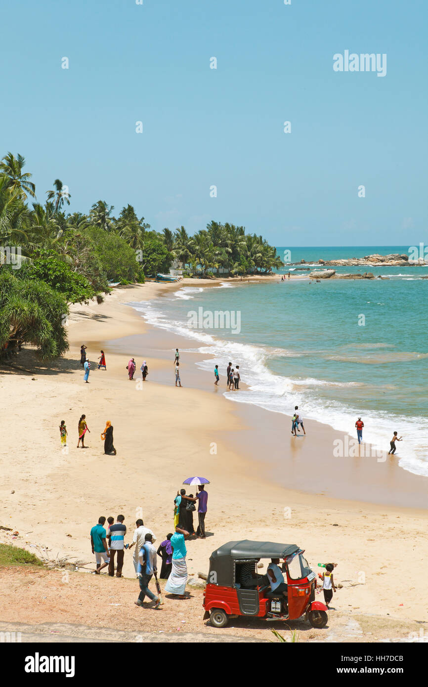 Spiaggia fiancheggiato da palme, Oceano Indiano, Beruwela, provincia occidentale, Sri Lanka Foto Stock