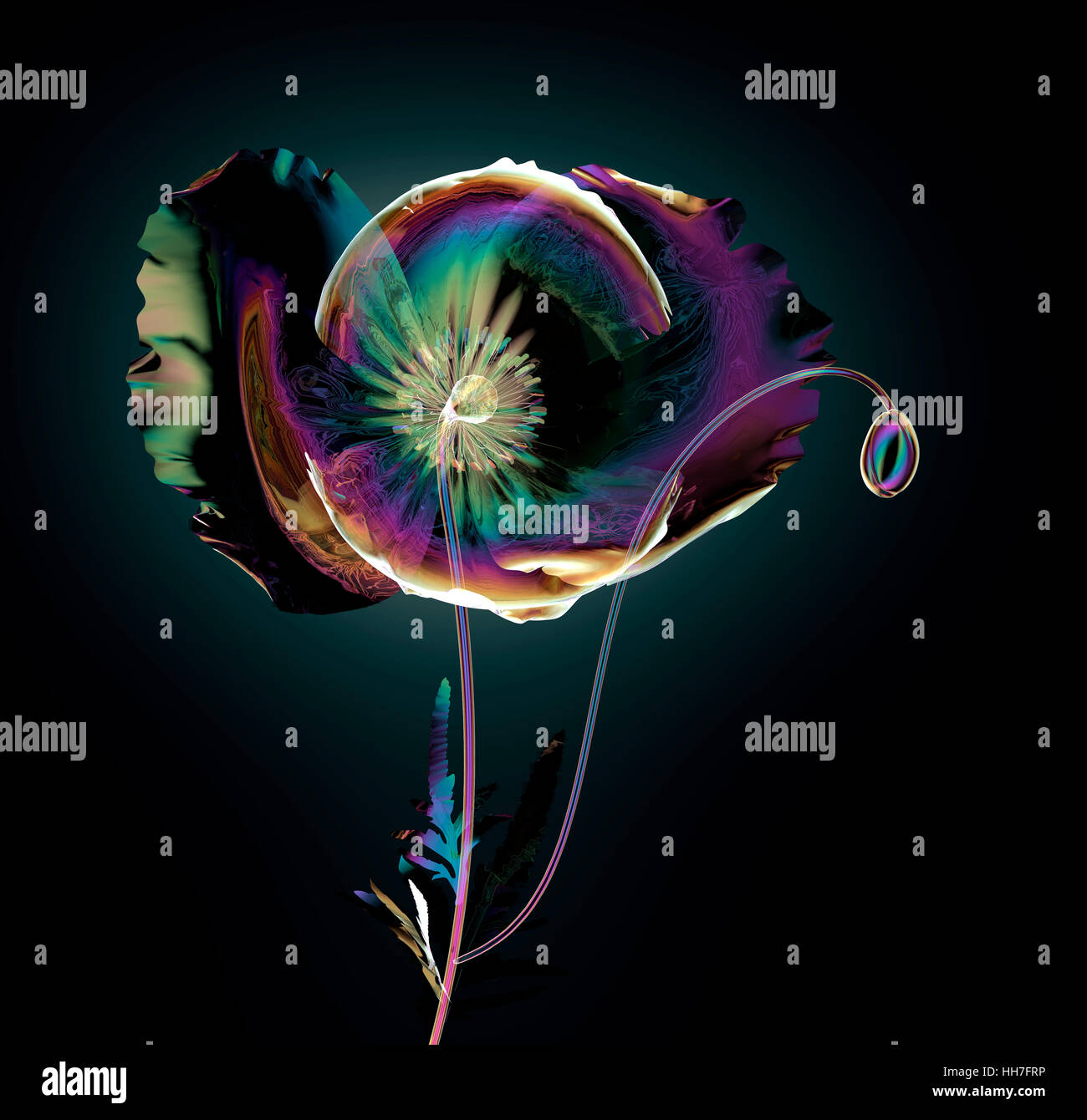 Il colore dei fiori di vetro isolato sul nero, il papavero papaver, 3d illustrazione Foto Stock