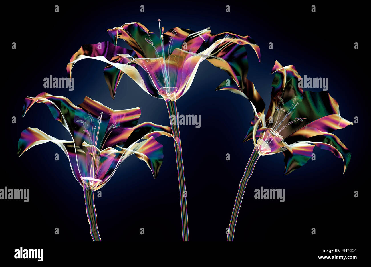 Il colore dei fiori di vetro isolato sul nero, il lilly 3d illustrazione Foto Stock