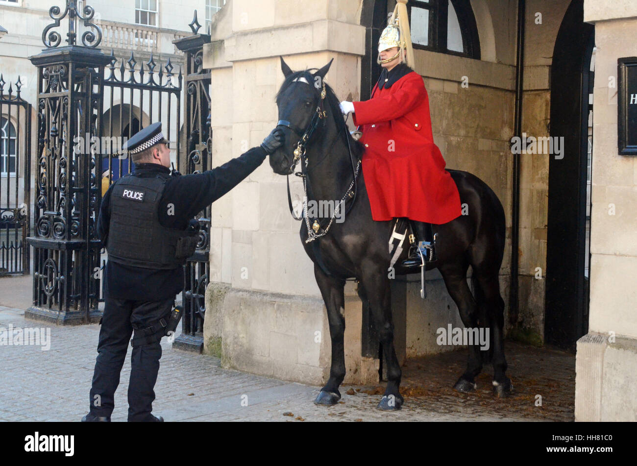 Londra, Regno Unito. Xvii gen, 2017. Picchietti Polceman cavallo di cavalleria sul naso alla calma a Horseguard Parade di Whitehall. Posizione soleggiata e fredda giornata a Londra. Credito: JOHNNY ARMSTEAD/Alamy Live News Foto Stock