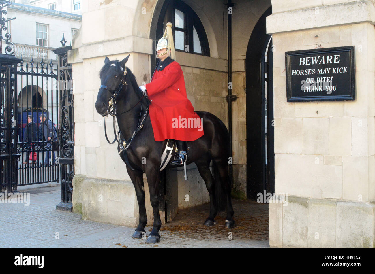 Londra, Regno Unito. Xvii gen, 2017. Picchietti Polceman cavallo di cavalleria sul naso alla calma a Horseguard Parade di Whitehall. Posizione soleggiata e fredda giornata a Londra. Credito: JOHNNY ARMSTEAD/Alamy Live News Foto Stock