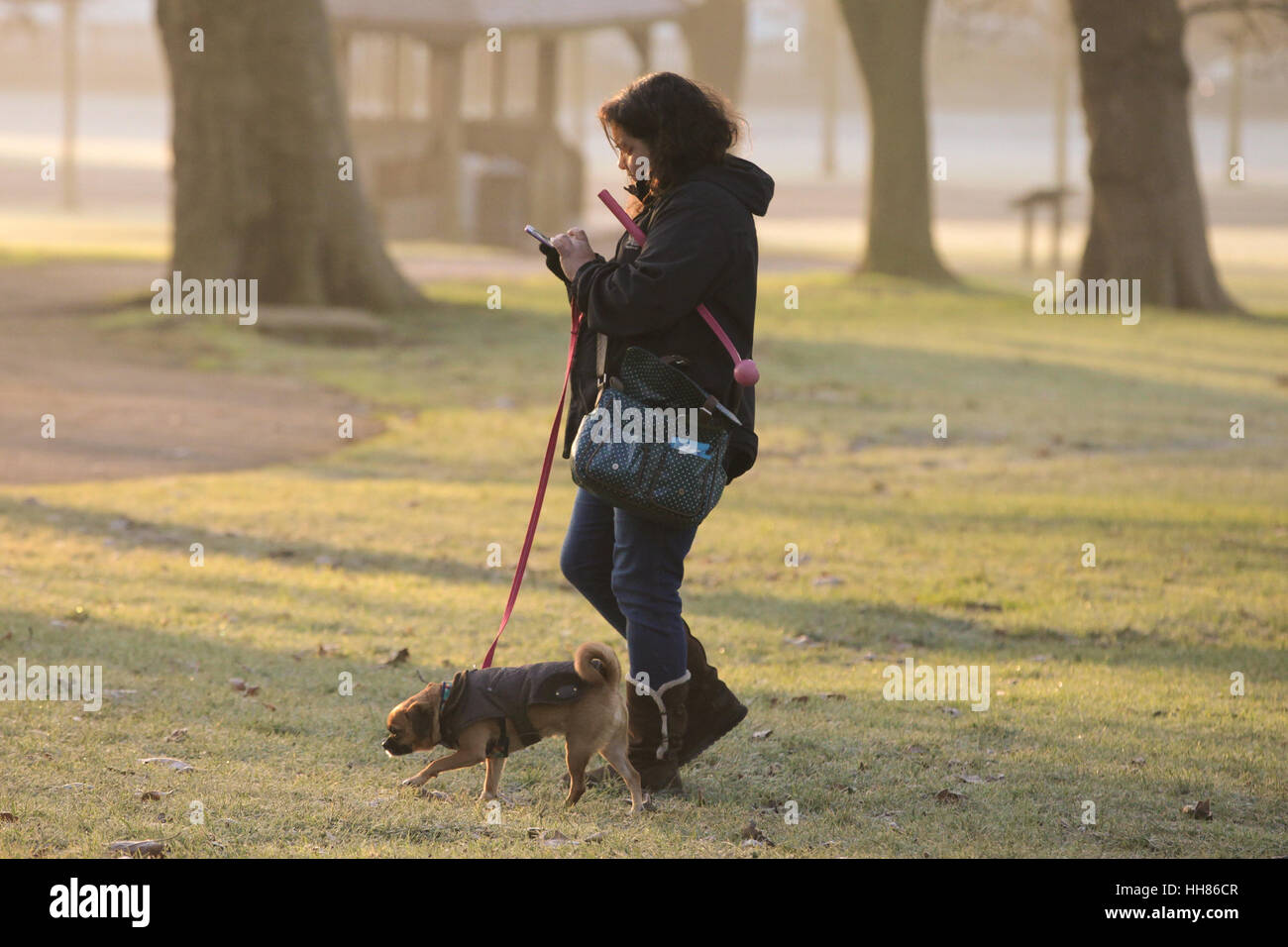 Finsbury Park, a nord di Londra, Regno Unito. 18 gennaio, 2017. Regno Unito Meteo. Una donna con il suo cane a Finsbury Park, Nord di Londra in un freddo e gelido mattino Credito: Dinendra Haria/Alamy Live News Foto Stock