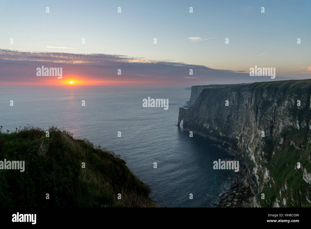 Sunrise a Bempton Cliffs sulla costa orientale dell'Inghilterra. Foto Stock