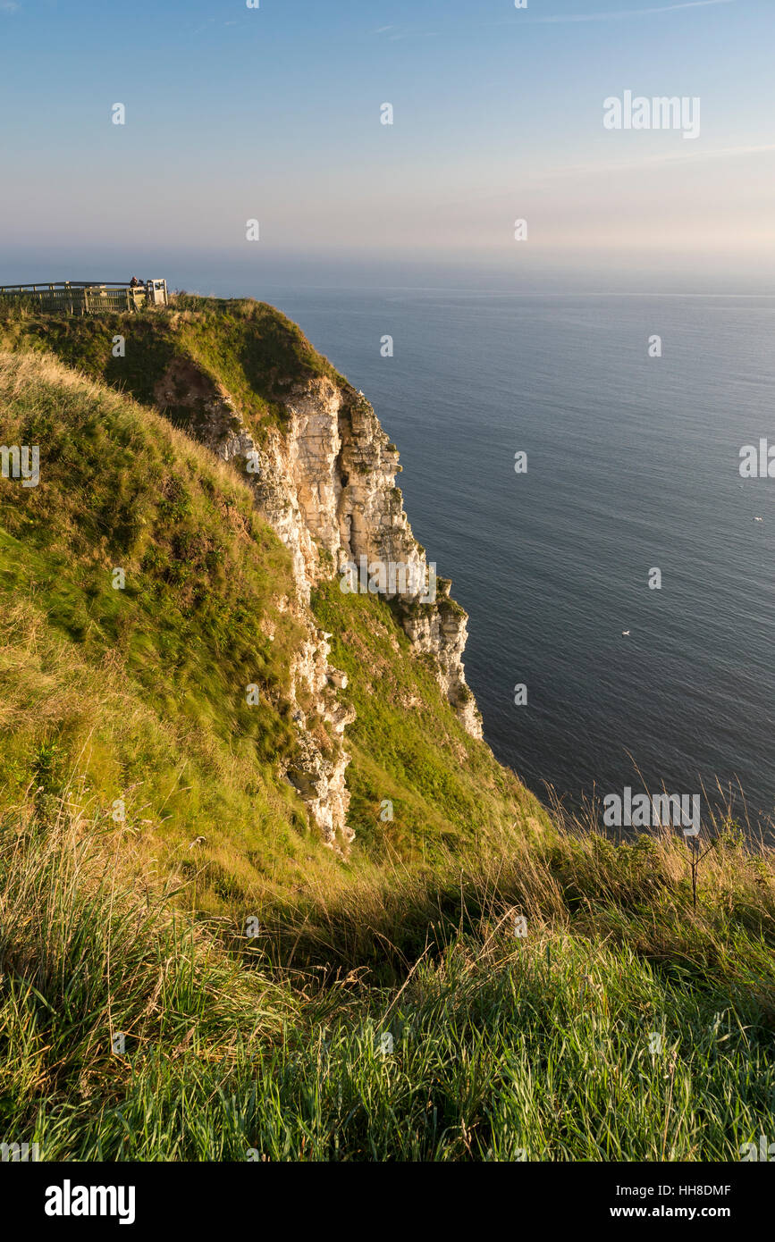 Piattaforma di Osservazione a Bempton Cliffs sulla costa orientale dell'Inghilterra. Un luogo popolare per osservare il mare colonie di uccelli. Foto Stock